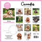 2027 Cavoodle Calendar alternate 3