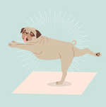 2024 Dog Yoga Calendar alternate 1