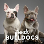 2024 French Bulldogs Calendar thumbnail
