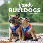 2027 French Bulldogs Calendar