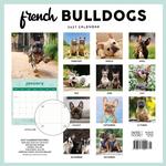 2027 French Bulldogs Calendar alternate 3