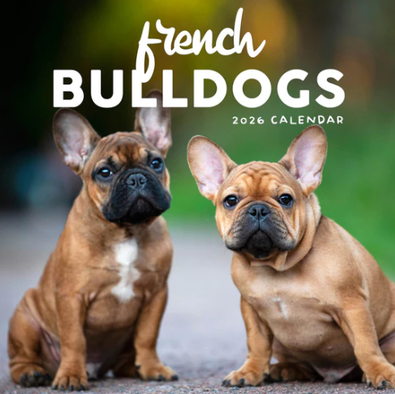 2026 French Bulldogs Calendar cover
