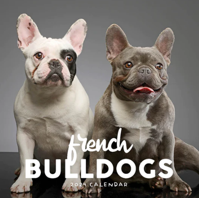 2024 French Bulldogs Calendar cover