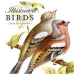 2026 Illustrated Birds Calendar thumbnail