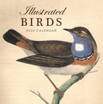 2024 Illustrated Birds Calendar thumbnail