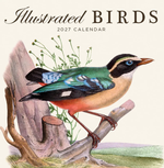 2027 Illustrated Birds Calendar