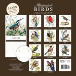 2026 Illustrated Birds Calendar alternate 3