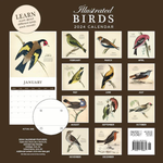 2024 Illustrated Birds Calendar alternate 3