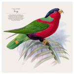 2027 Illustrated Birds Calendar alternate 1