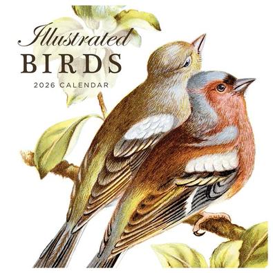 2026 Illustrated Birds Calendar cover