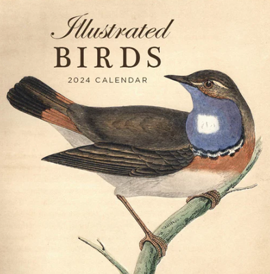 2024 Illustrated Birds Calendar cover