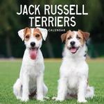 2026 Jack Russells Calendar thumbnail