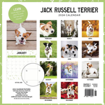 2024 Jack Russell Terrier Calendar alternate 3