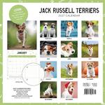 2027 Jack Russell Terrier Calendar alternate 3