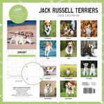 2026 Jack Russells Calendar alternate 3