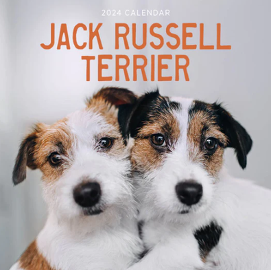 2024 Jack Russell Terrier Calendar cover