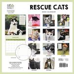 2026 Rescue Cats Calendar alternate 3