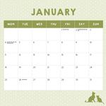 2027 Rescue Cats Calendar alternate 2