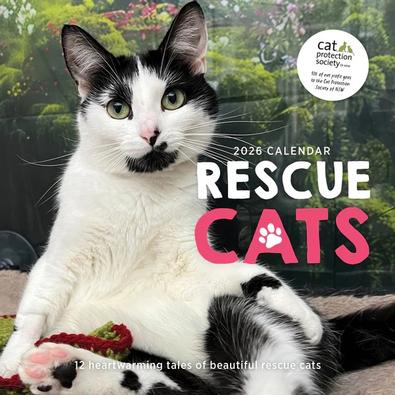 2026 Rescue Cats Calendar cover