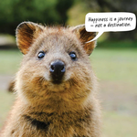 2026 The Happy Quokka Calendar alternate 1
