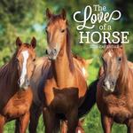 2026 The Love Of A Horse Calendar thumbnail