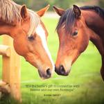 2027 The Love Of A Horse Calendar alternate 1