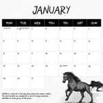 2024 Wild Horses The Brumby Calendar alternate 2