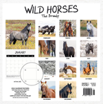 2024 Wild Horses The Brumby Calendar alternate 3