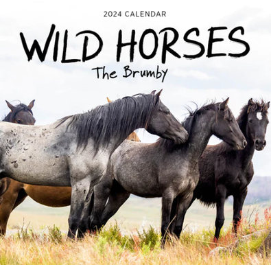 2024 Wild Horses The Brumby Calendar cover
