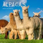 2026 Alpacas Calendar thumbnail