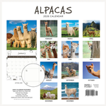 2026 Alpacas Calendar alternate 2