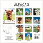2027 Alpacas Calendar alternate 2