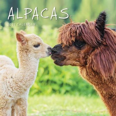 2027 Alpacas Calendar cover