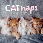 2026 Cat Naps Calendar thumbnail