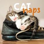 2027 Cat Naps Calendar