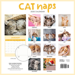 2026 Cat Naps Calendar alternate 1