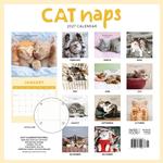 2027 Cat Naps Calendar alternate 1