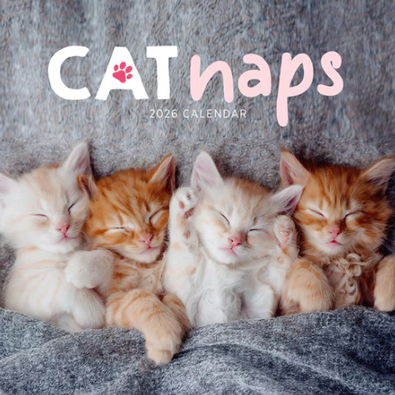 2026 Cat Naps Calendar cover