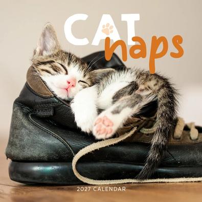 2027 Cat Naps Calendar cover
