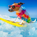 2026 Dogs on Vacation Calendar alternate 3