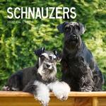 2027 Schnauzers Calendar