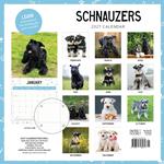 2027 Schnauzers Calendar alternate 1
