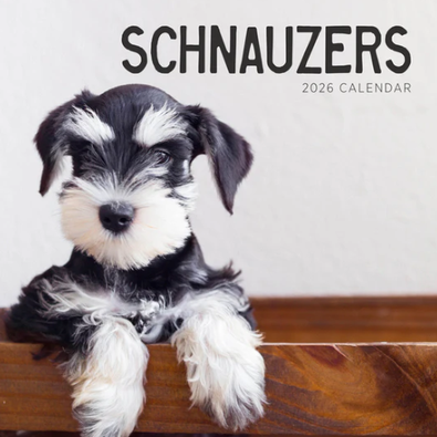 2026 Schnauzers Calendar cover