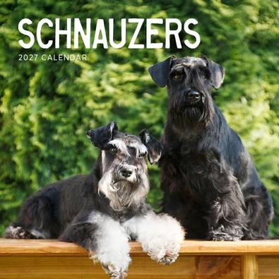 2027 Schnauzers Calendar cover