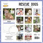 2026 Rescue Dogs Calendar alternate 1
