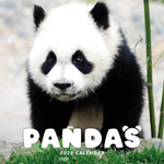 2026 Pandas Calendar thumbnail