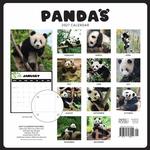 2027 Pandas Calendar alternate 1