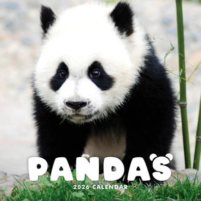 2026 Pandas Calendar cover