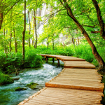 2026 Pathways Of The World Calendar alternate 3