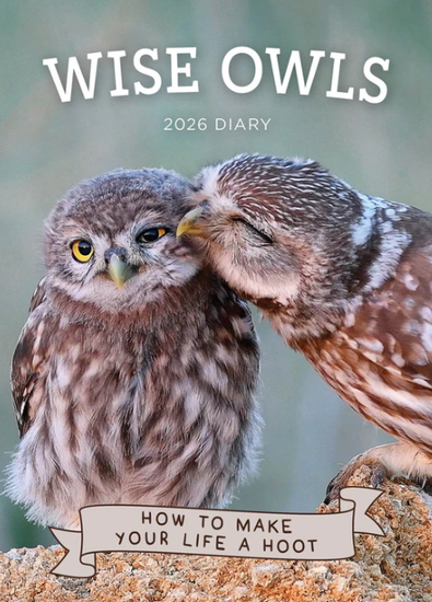 2026 Wise Owls Diary cover